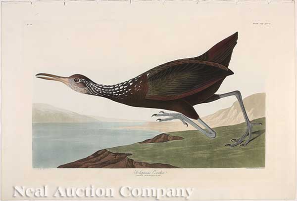 John James Audubon (American