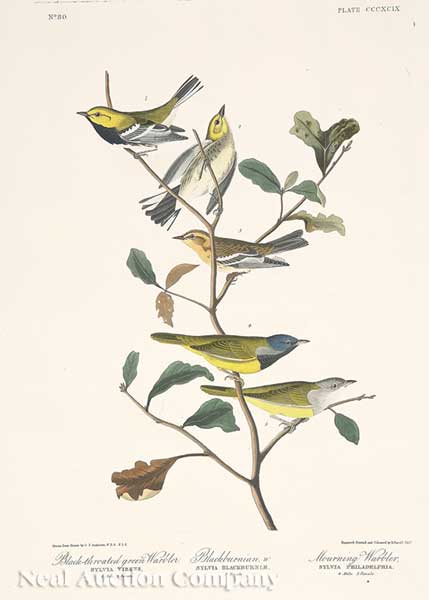 John James Audubon (American