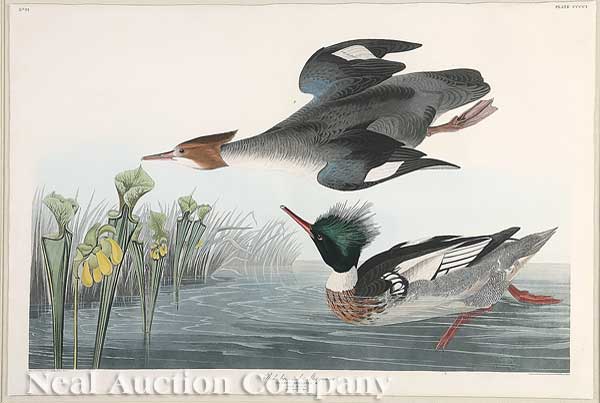 John James Audubon (American