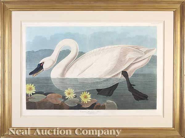 John James Audubon (American