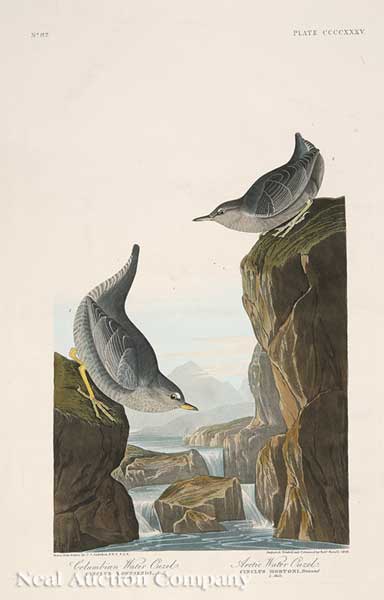 John James Audubon (American