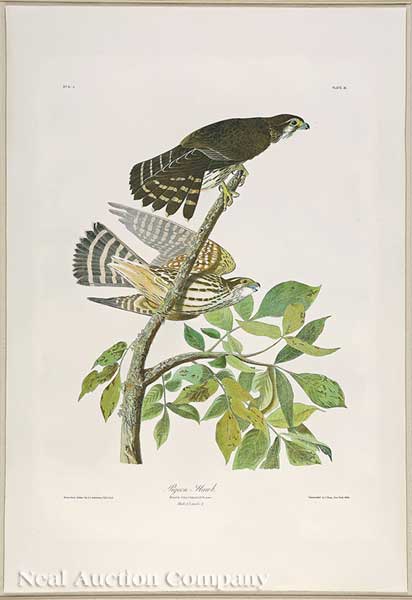 John James Audubon (American