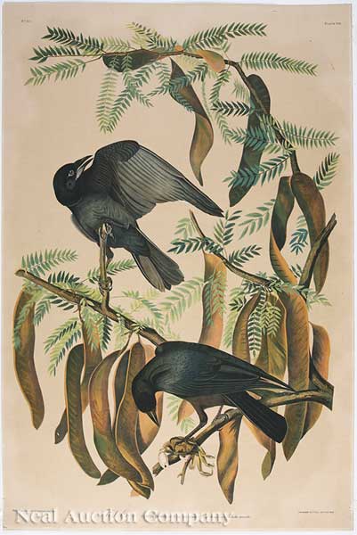 John James Audubon (American