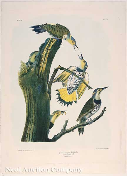 John James Audubon (American
