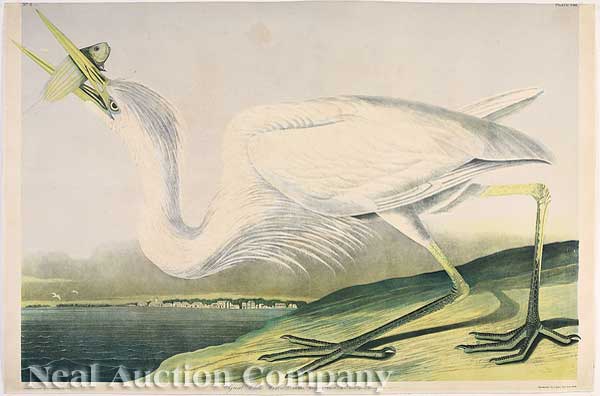 John James Audubon (American
