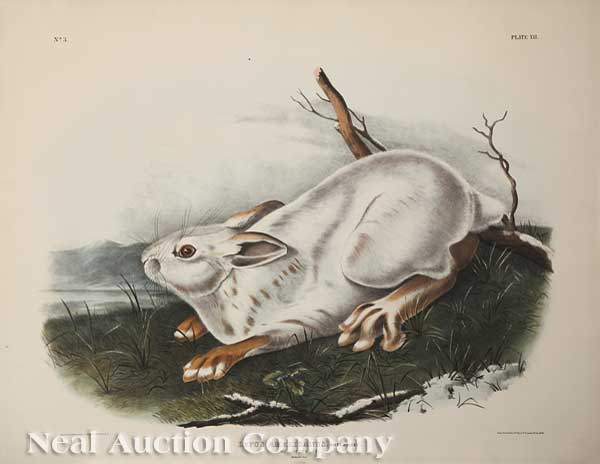 John James Audubon (American