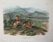 John James Audubon (American 1