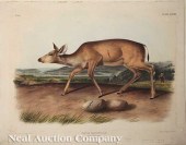 John James Audubon (American 1