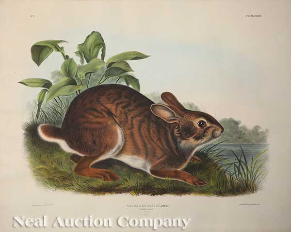 John James Audubon (American