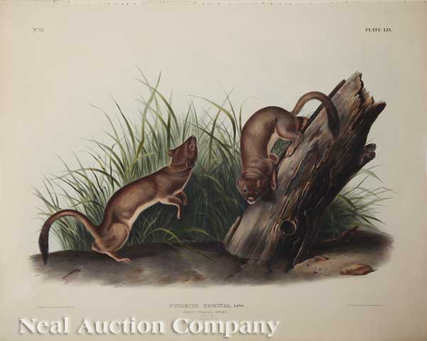 John James Audubon (American