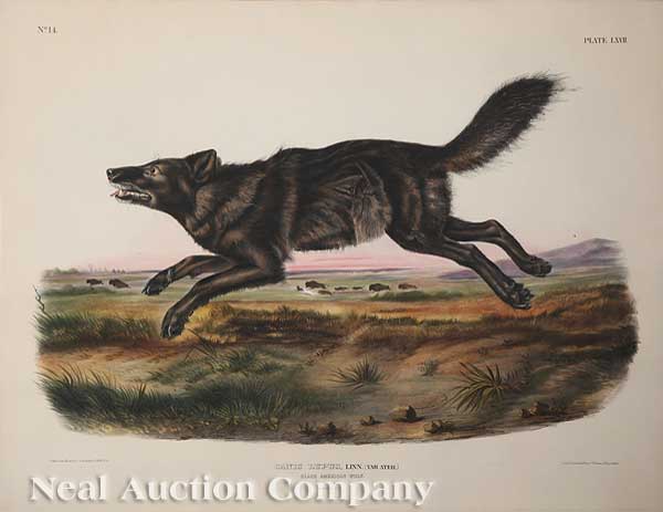 John James Audubon (American
