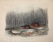 John James Audubon (American 1