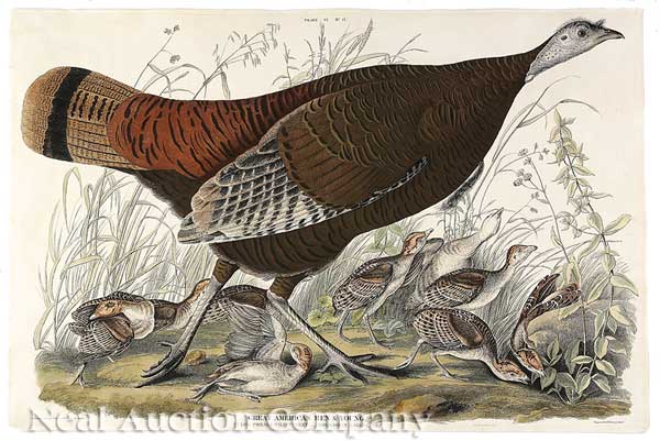 John James Audubon (American