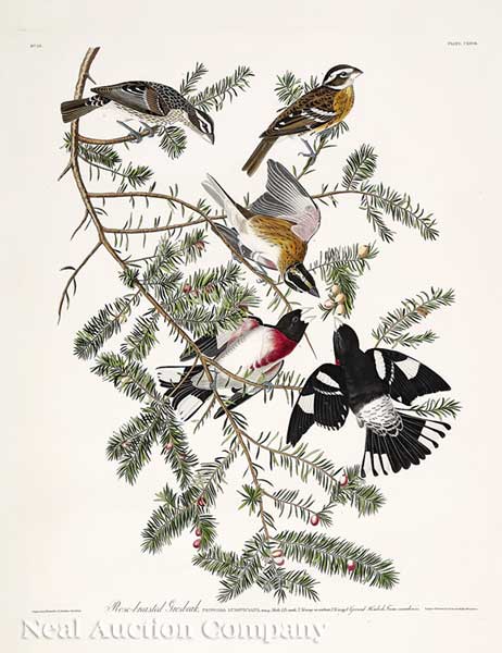 John James Audubon (American