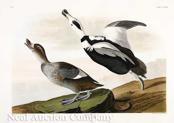 John James Audubon (American