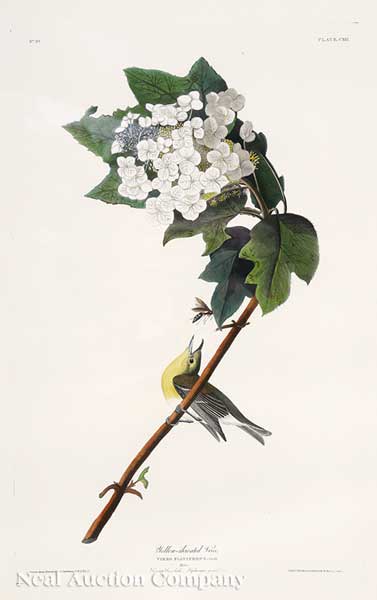 John James Audubon (American