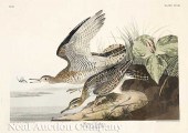 John James Audubon (American 1