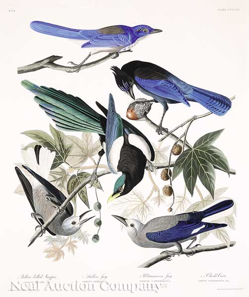 John James Audubon (American