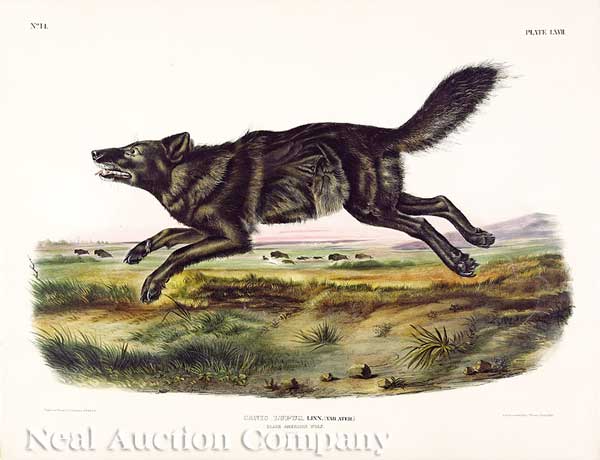 John James Audubon (American