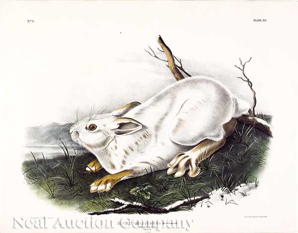 John James Audubon (American