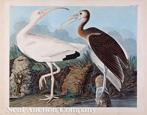 John James Audubon (American
