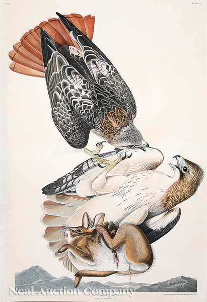 John James Audubon (American