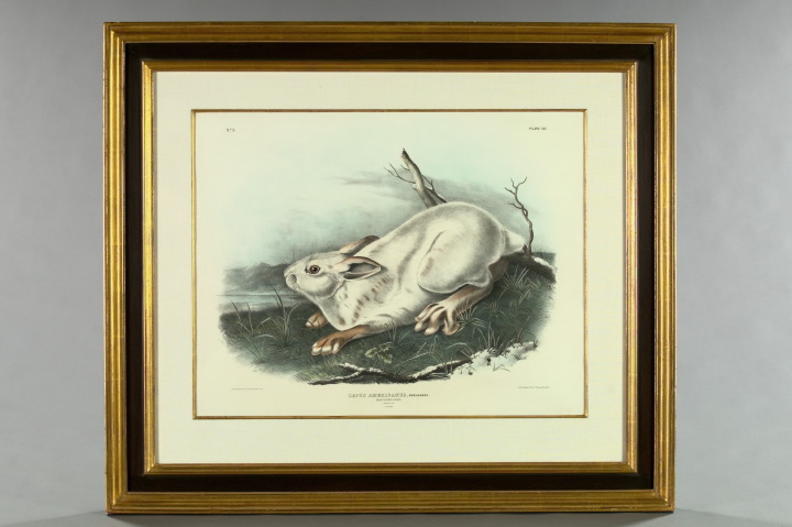 John James Audubon (American,