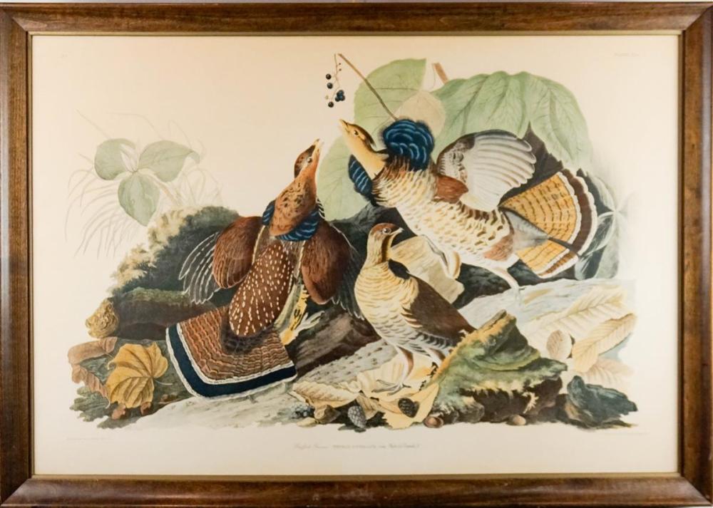 JOHN JAMES AUDUBON (AMERICAN,