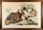 JOHN JAMES AUDUBON (AMERICAN,