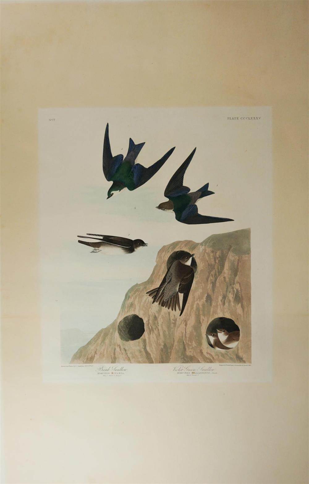 JOHN JAMES AUDUBON (AMERICAN,