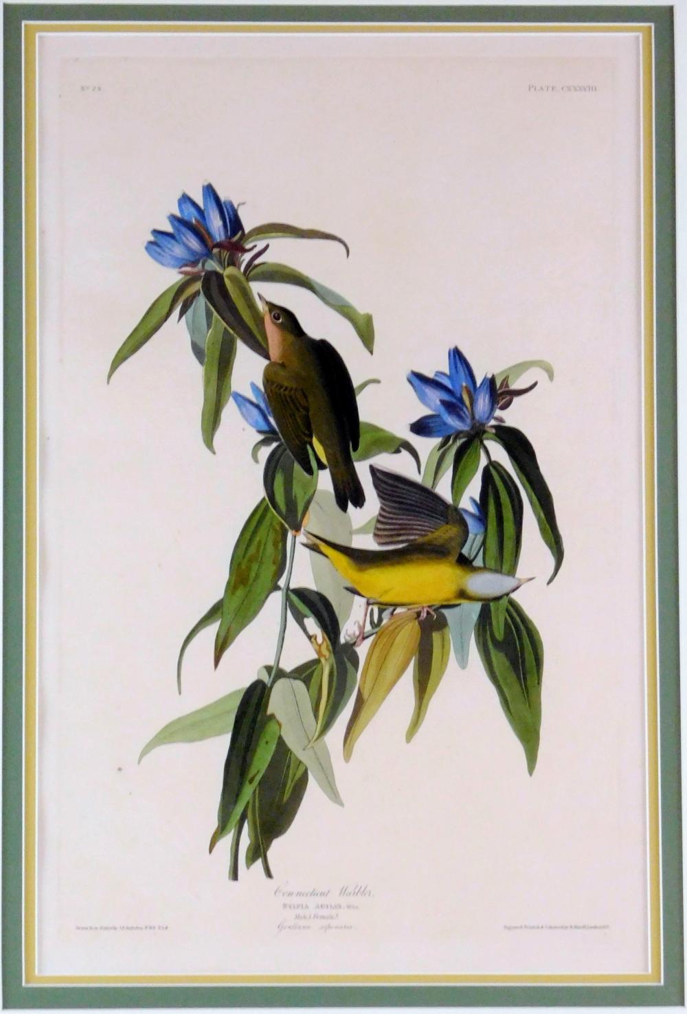 +JOHN JAMES AUDUBON (AMERICAN,