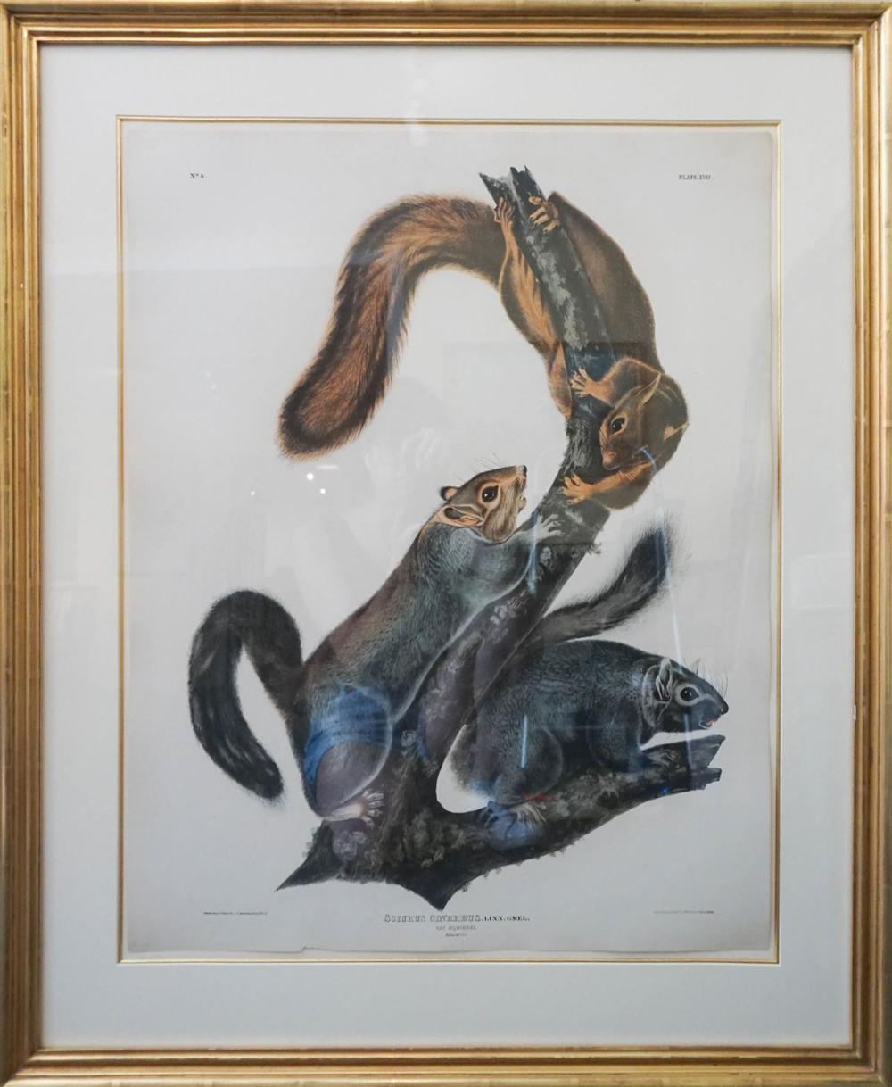 JOHN JAMES AUDUBON (AMERICAN,