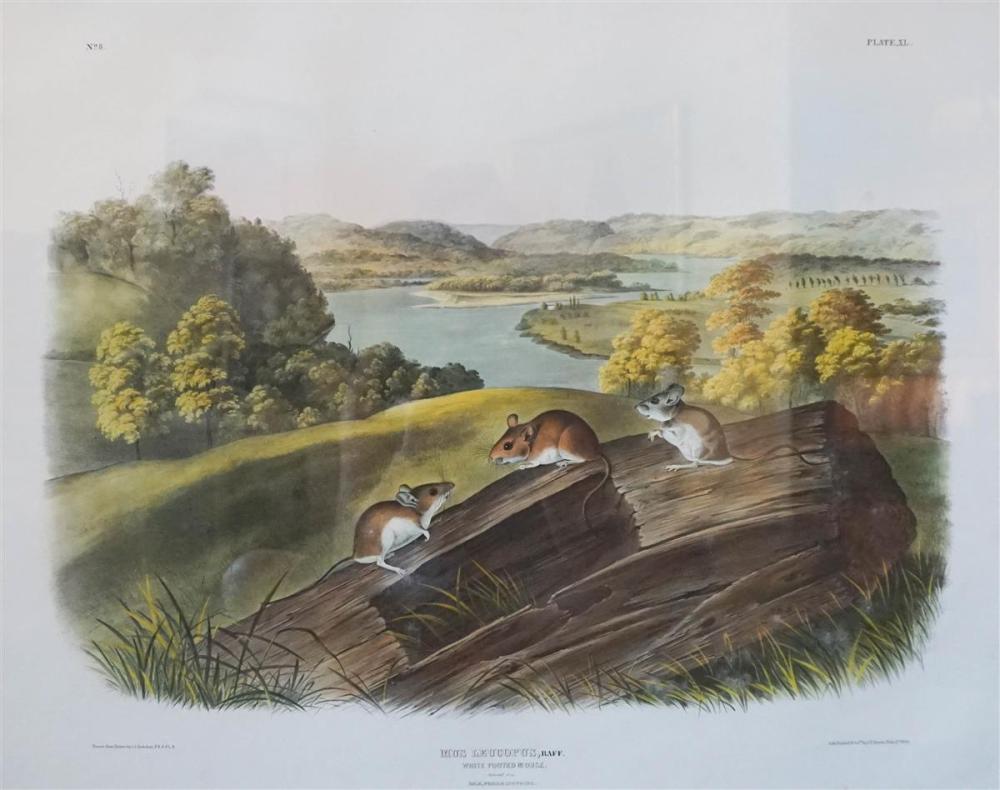 JOHN JAMES AUDUBON (AMERICAN,