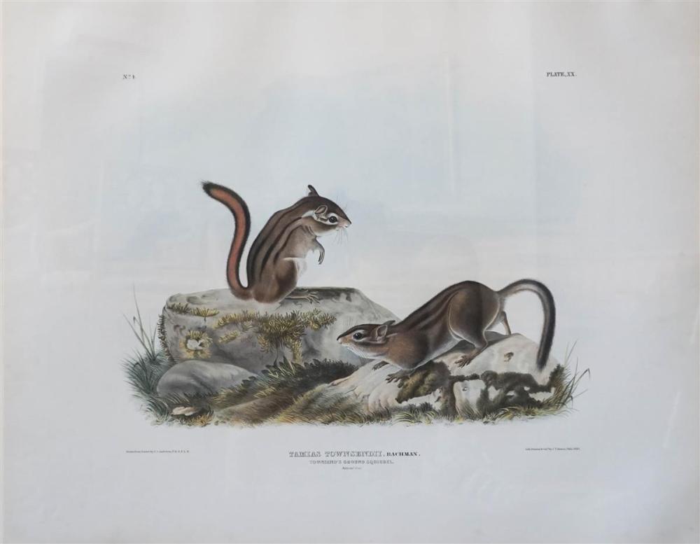 JOHN JAMES AUDUBON (AMERICAN,