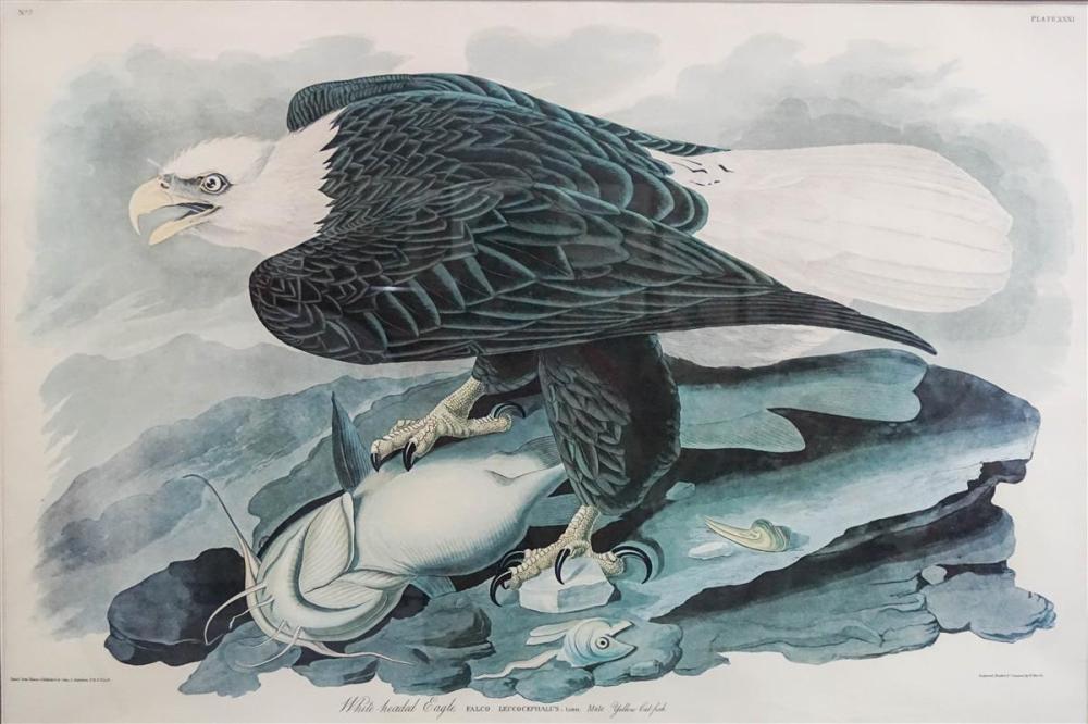 JOHN JAMES AUDUBON (AMERICAN,