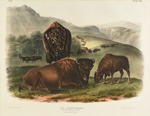 JOHN JAMES AUDUBON (AMERICAN