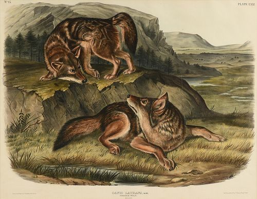 JOHN JAMES AUDUBON (AMERICAN