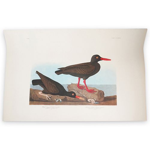 JOHN JAMES AUDUBON (AMERICAN,