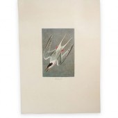 JOHN JAMES AUDUBON (AMERICAN,