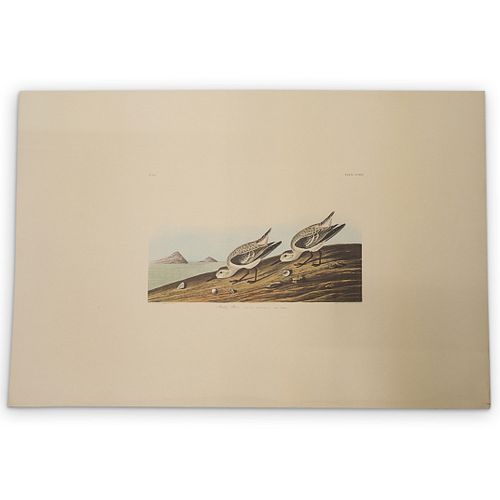 JOHN JAMES AUDUBON (AMERICAN,
