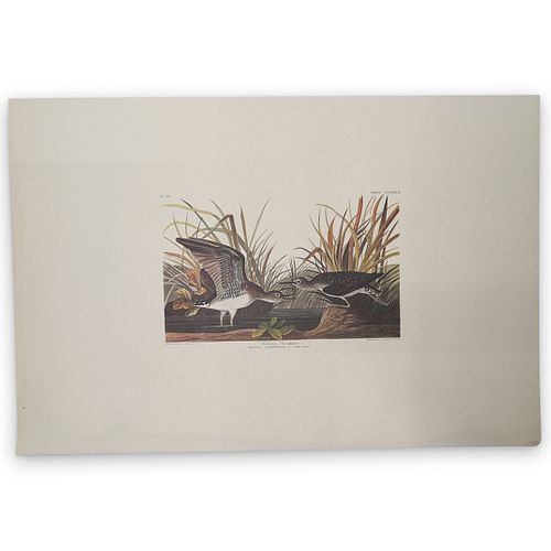 JOHN JAMES AUDUBON (AMERICAN,