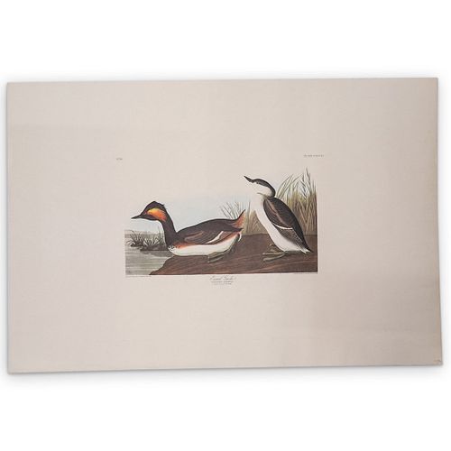 JOHN JAMES AUDUBON (AMERICAN,