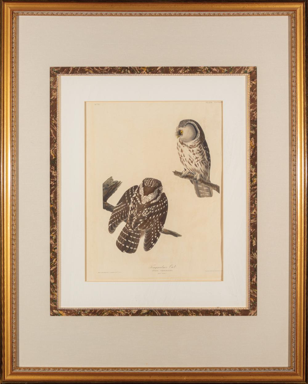 JOHN JAMES AUDUBON (AMERICAN,