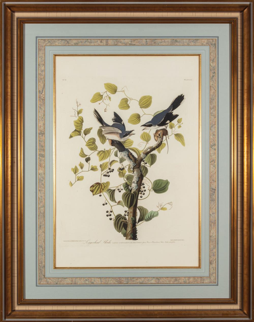 JOHN JAMES AUDUBON (AMERICAN,