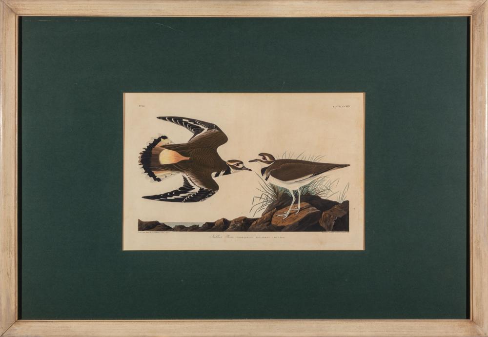 JOHN JAMES AUDUBON (AMERICAN,
