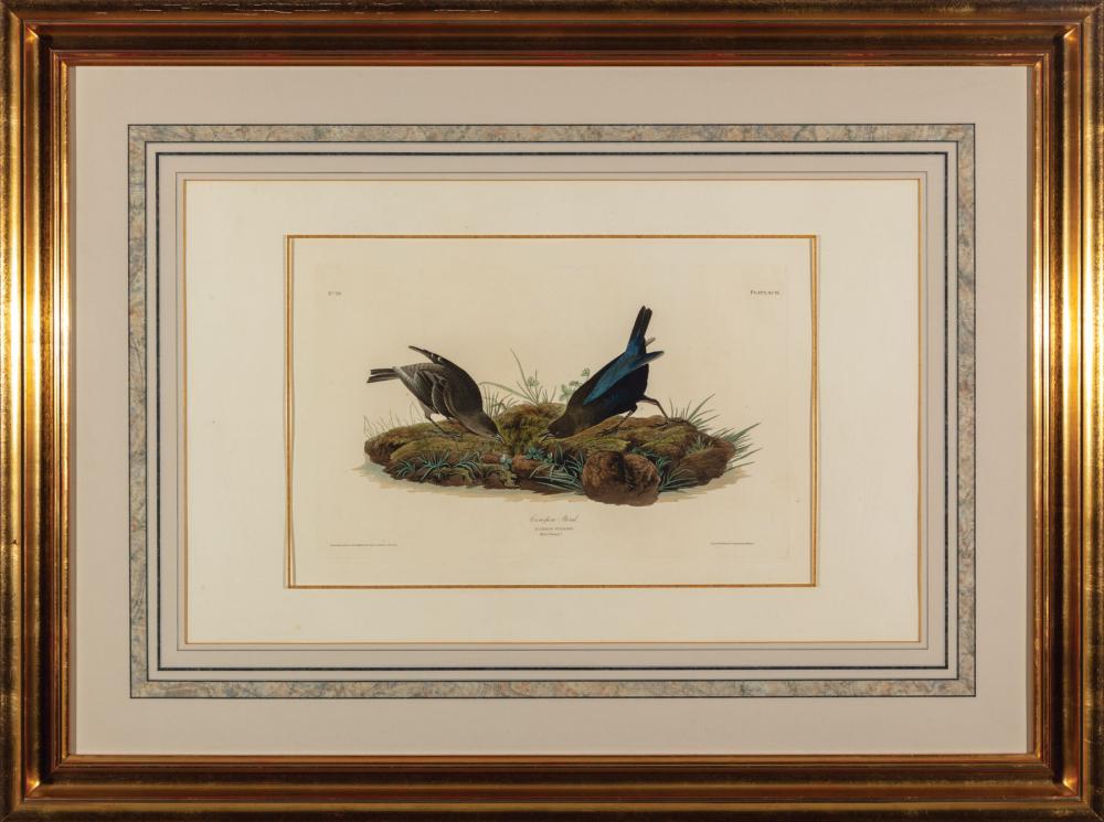 JOHN JAMES AUDUBON (AMERICAN,