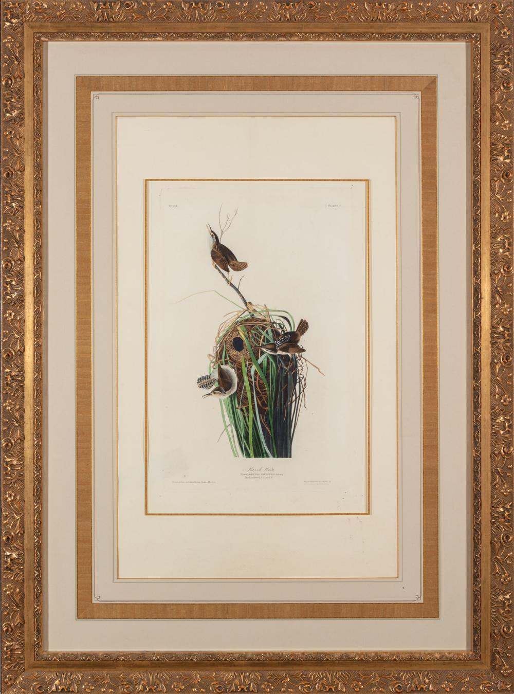 JOHN JAMES AUDUBON (AMERICAN,