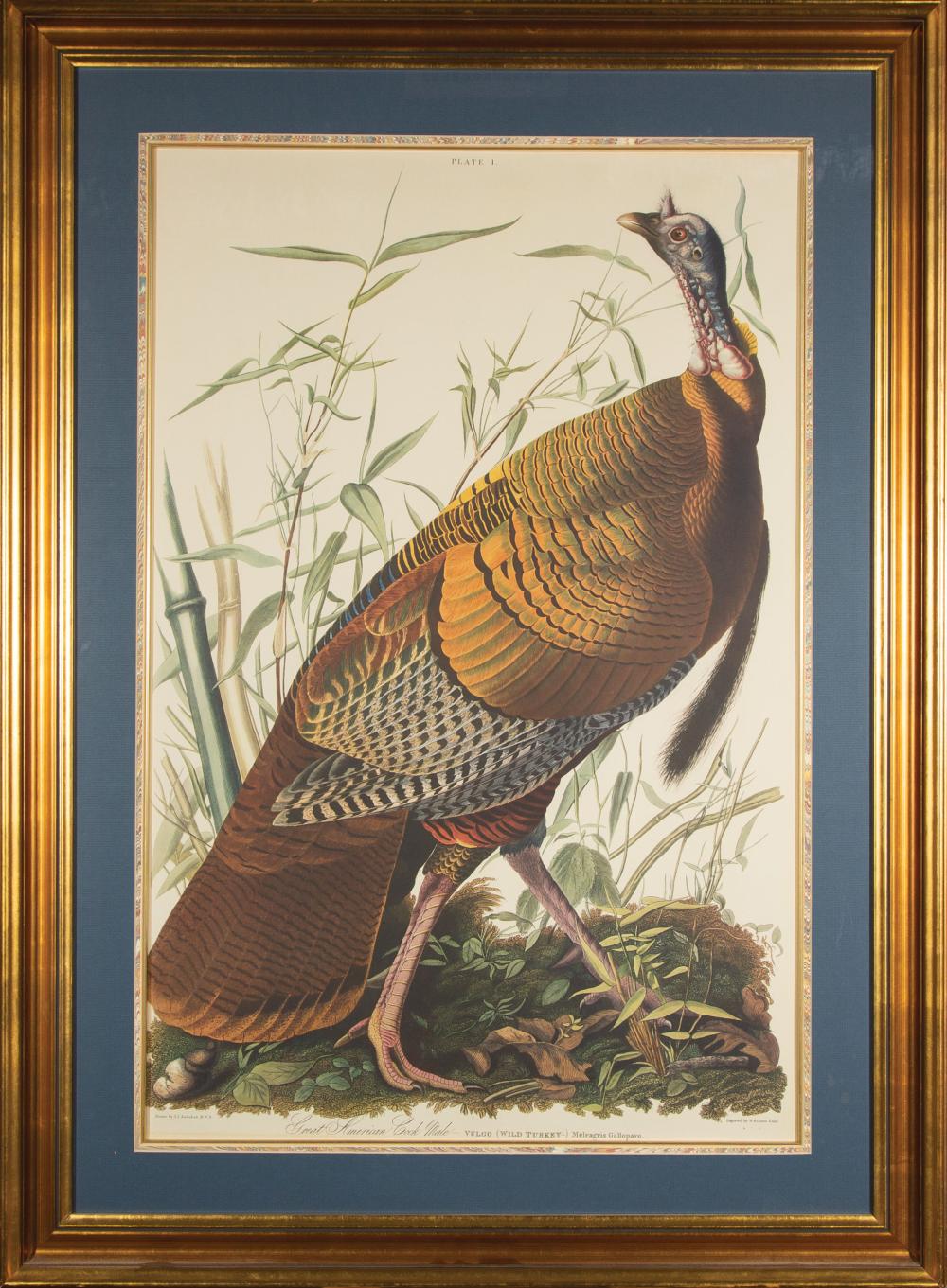 JOHN JAMES AUDUBON (AMERICAN,