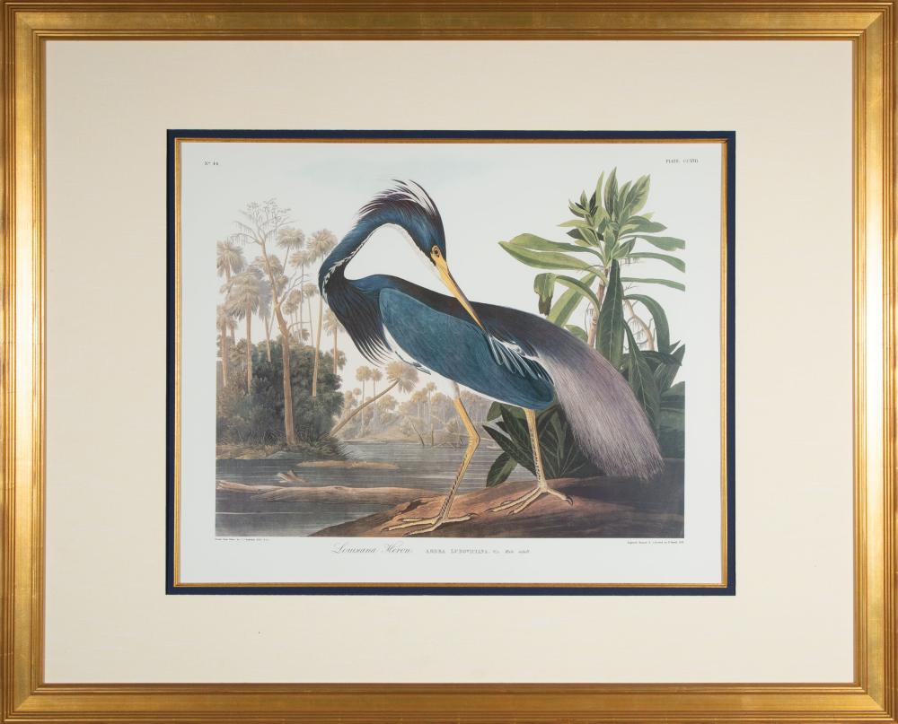 JOHN JAMES AUDUBON (AMERICAN,