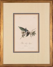 JOHN JAMES AUDUBON (AMERICAN,
